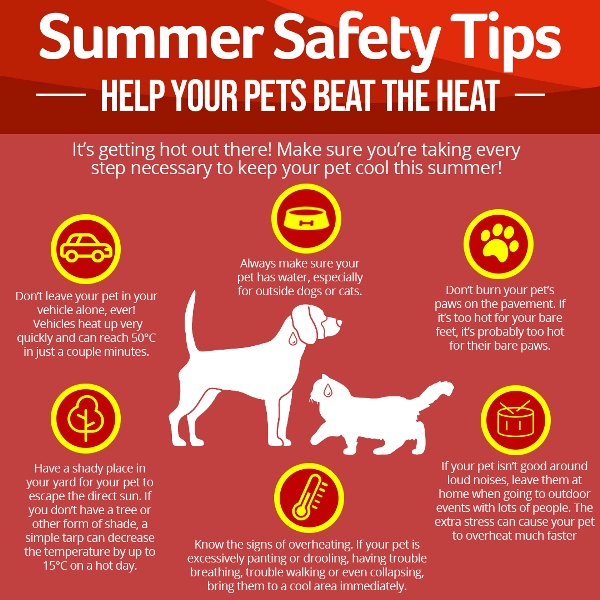 Summer Safety Tips